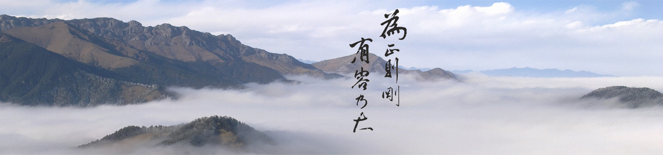 大連新海環(huán)保